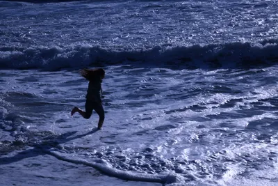 DSC_0427 (Large).JPG